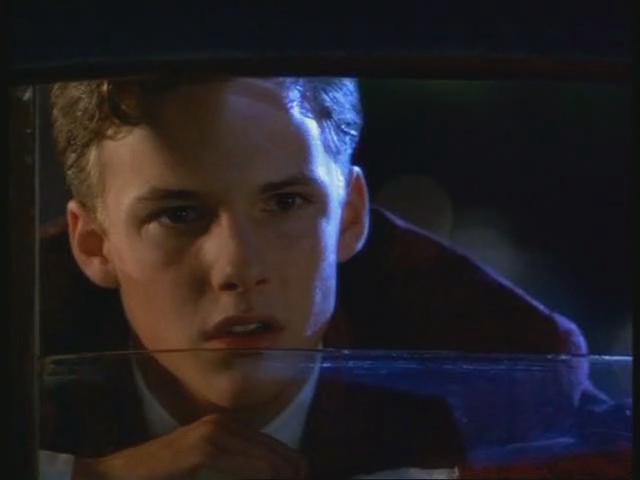 美国谎言剧照的剧照