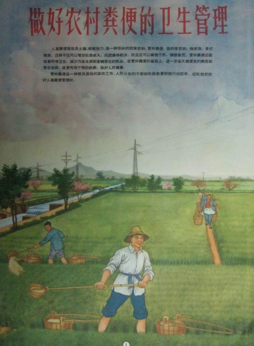 农村粪便管理剧照的剧照