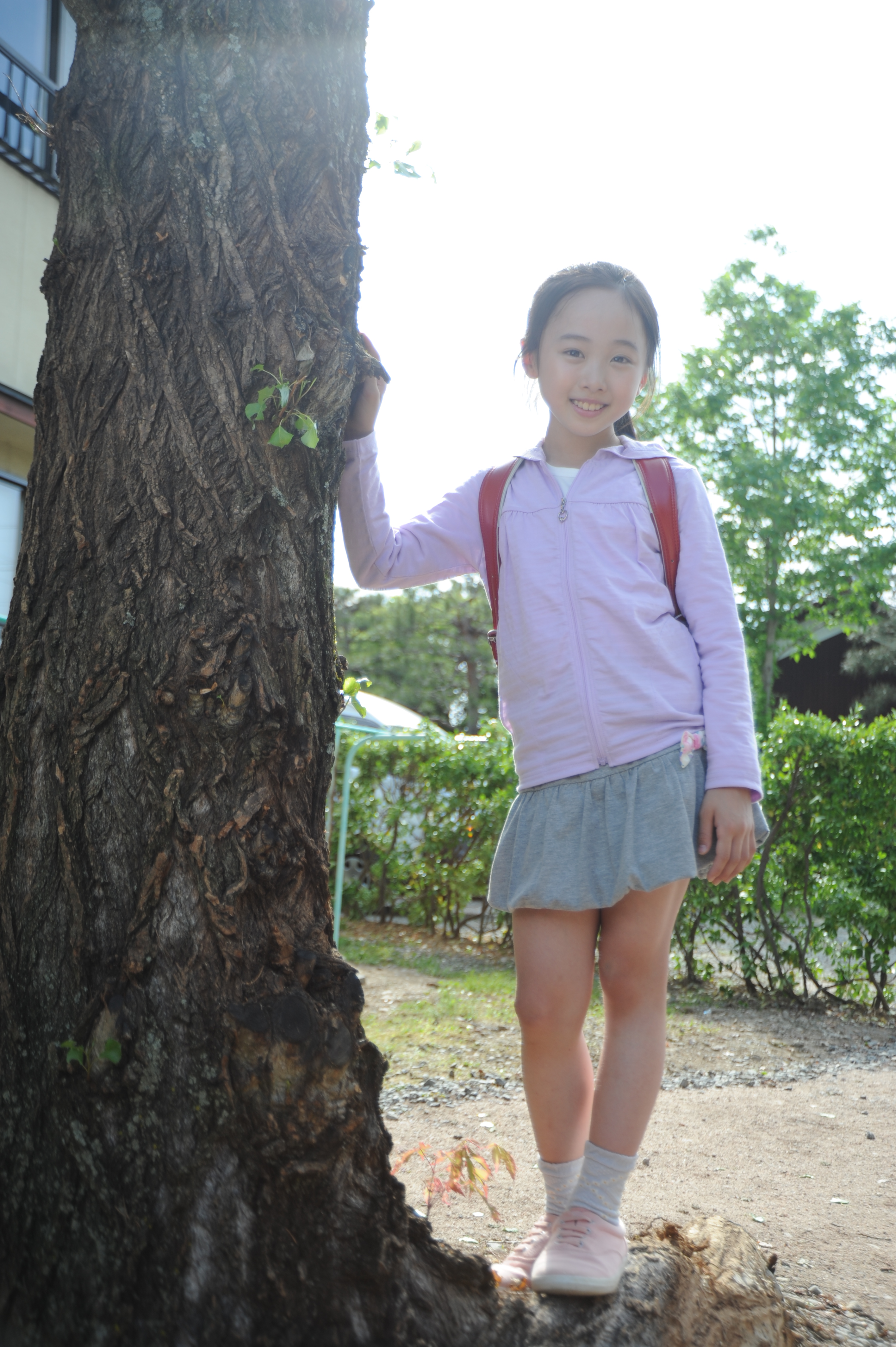 白杨之秋剧照的剧照