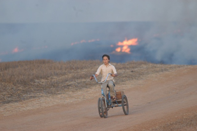 母子情深剧照的剧照