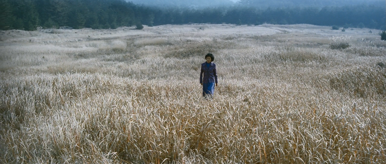 母亲剧照的剧照