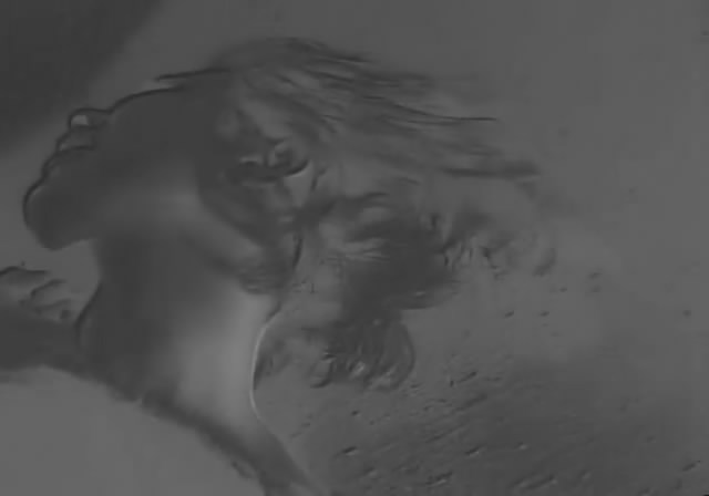 蔷薇的葬礼剧照的剧照