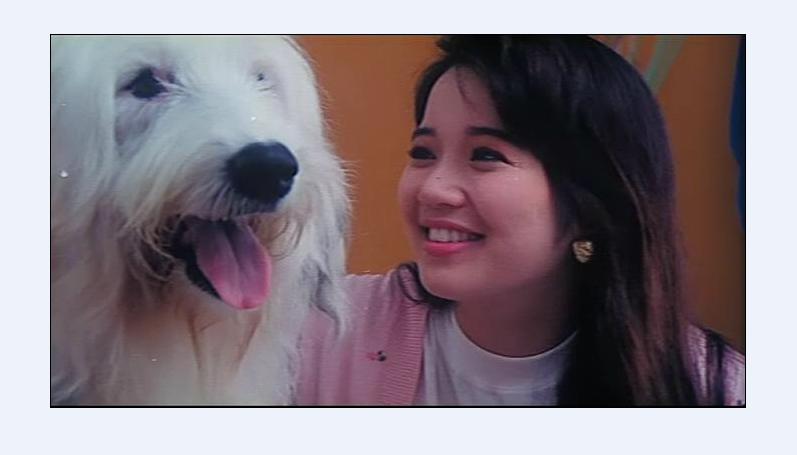 开心鬼上错身剧照的剧照