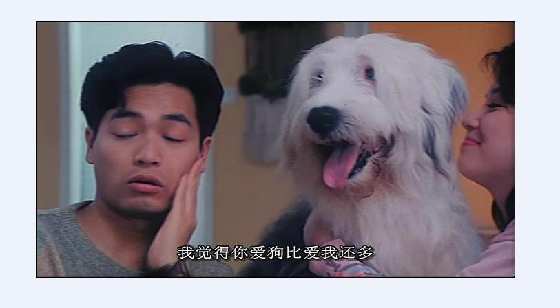 开心鬼上错身剧照的剧照