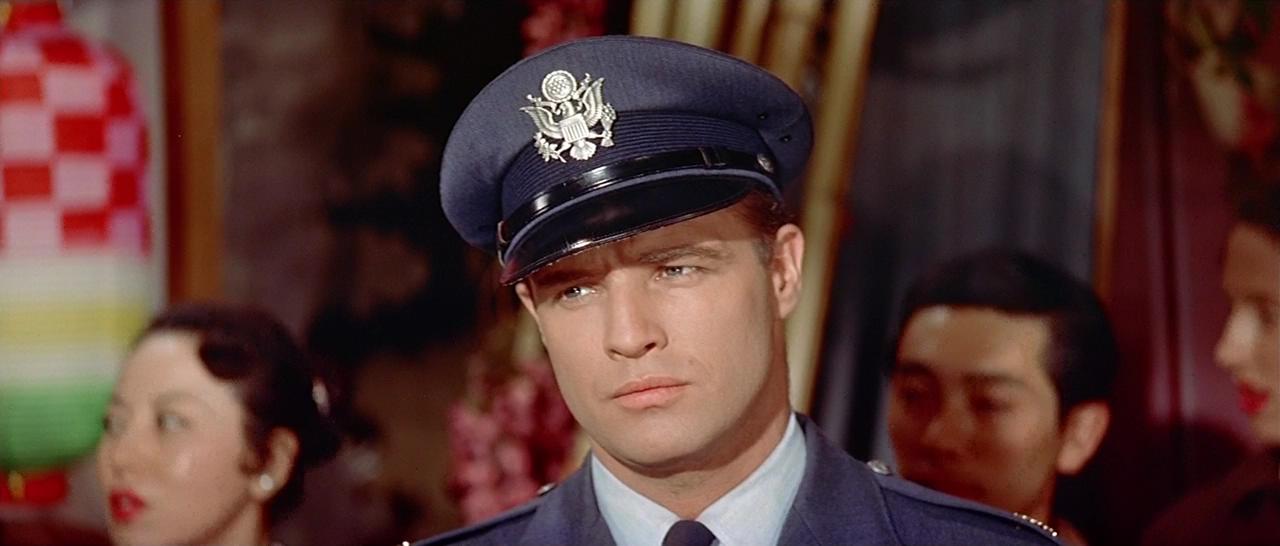 樱花恋剧照的剧照