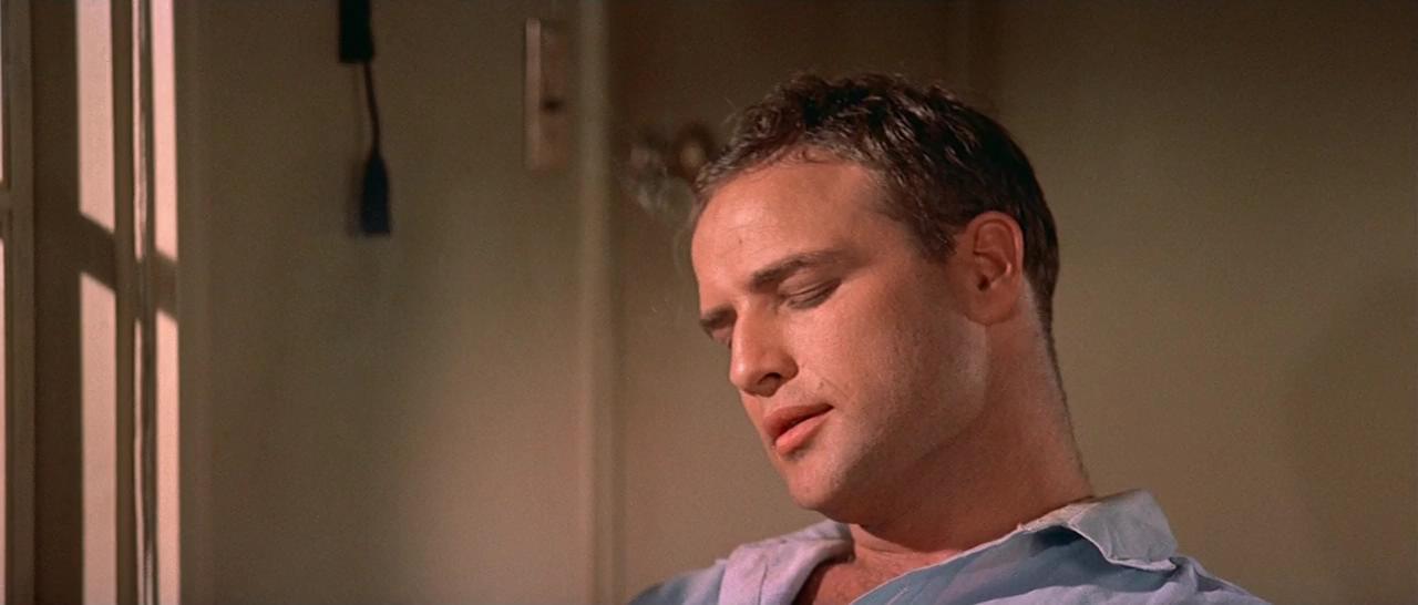 樱花恋剧照的剧照