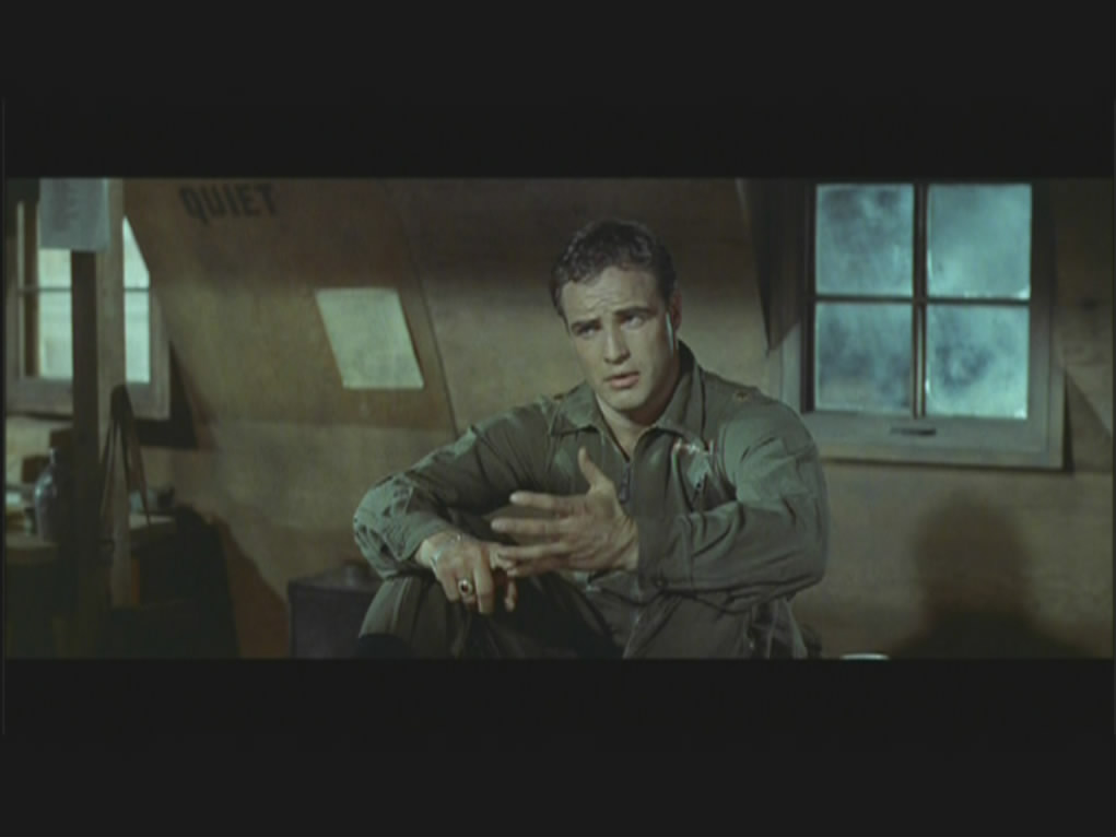 樱花恋剧照的剧照