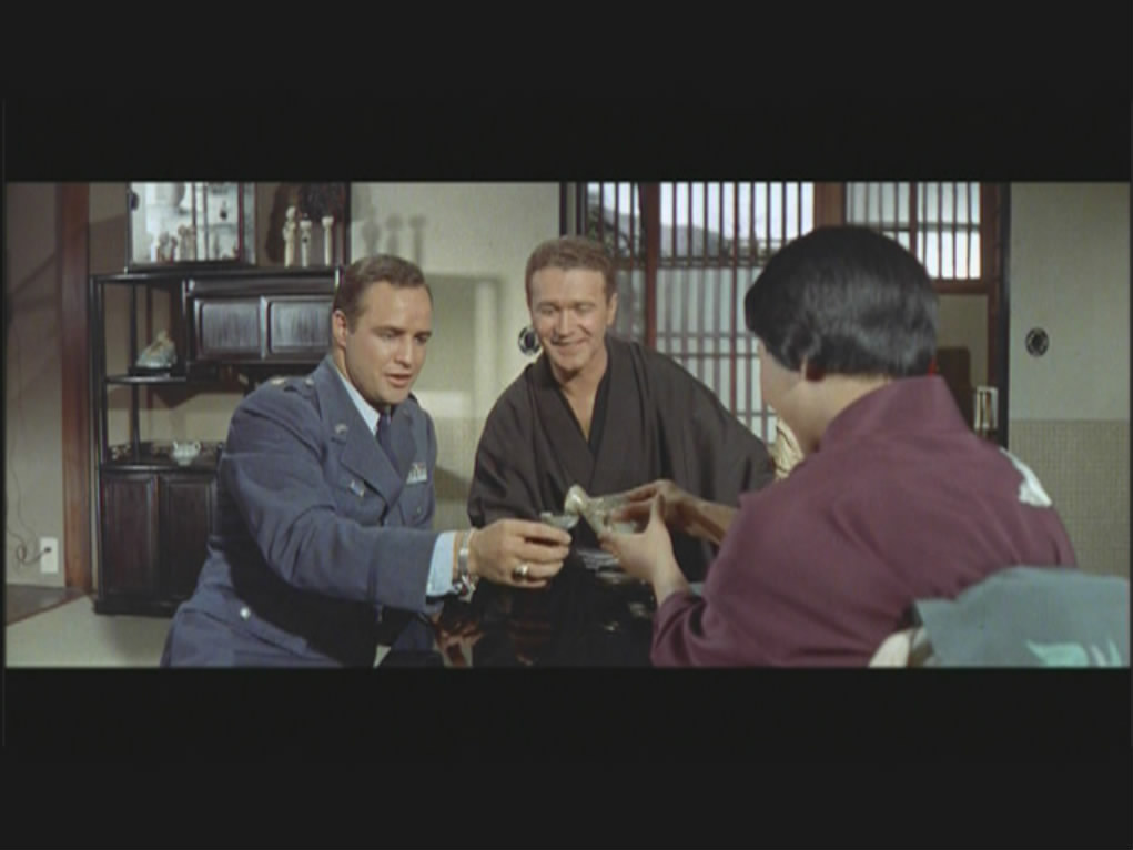 樱花恋剧照的剧照