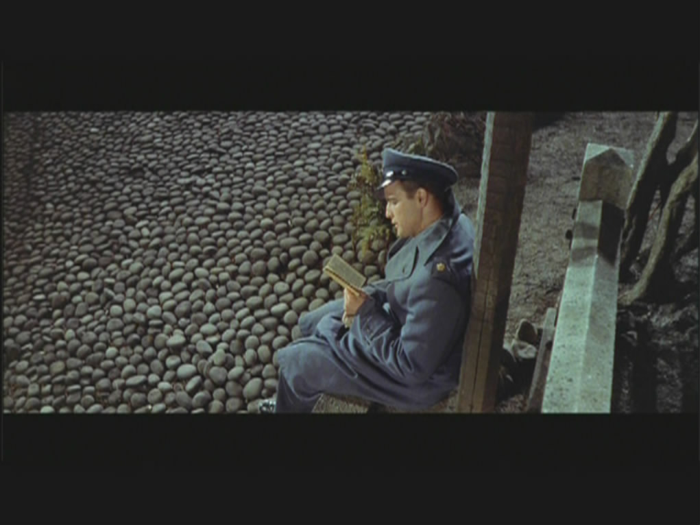 樱花恋剧照的剧照