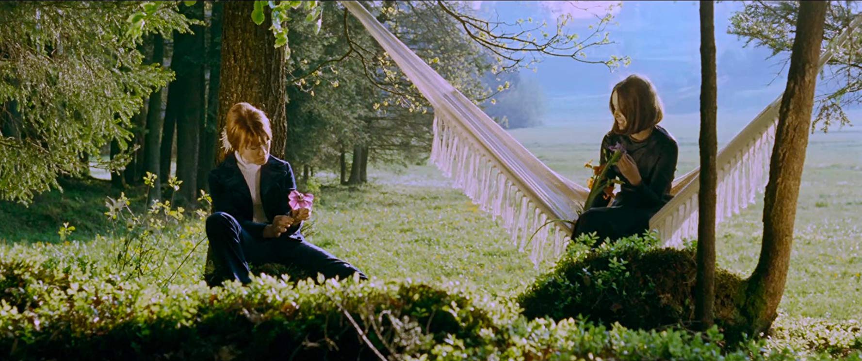 猫有九条命剧照的剧照