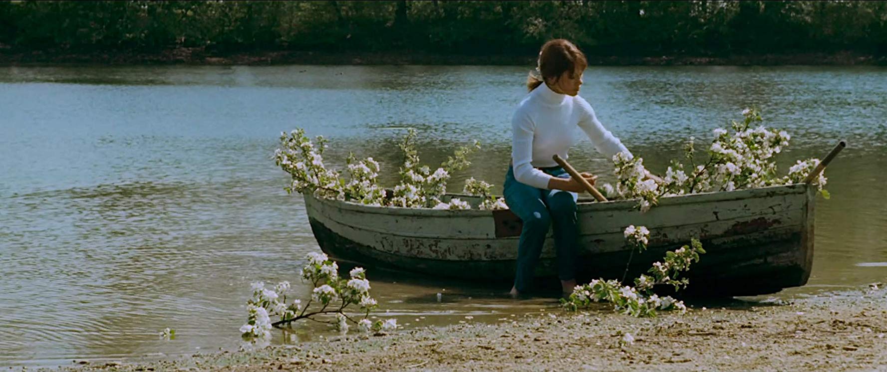 猫有九条命剧照的剧照