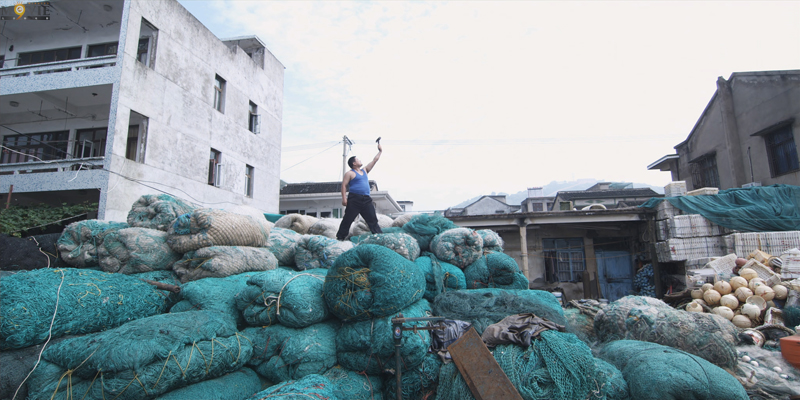 雕塑剧照的剧照