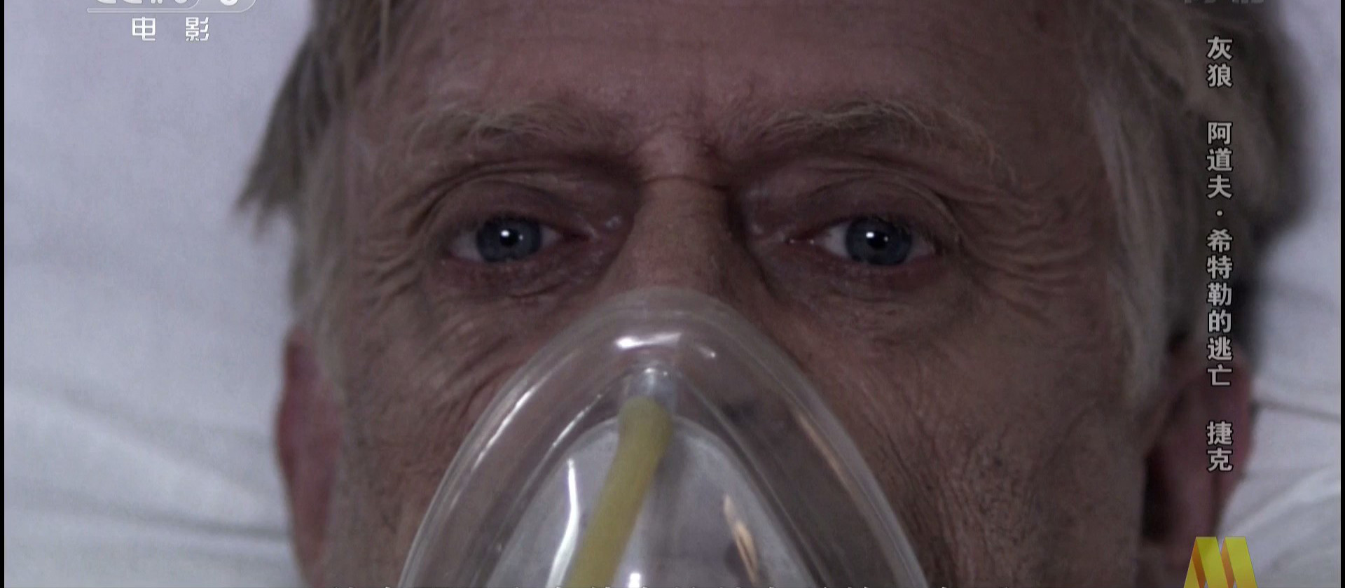 灰狼：阿道夫·希特勒的逃亡剧照的剧照