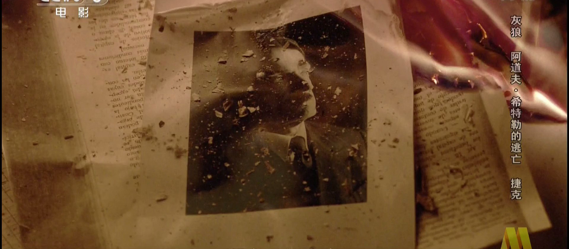 灰狼：阿道夫·希特勒的逃亡剧照的剧照