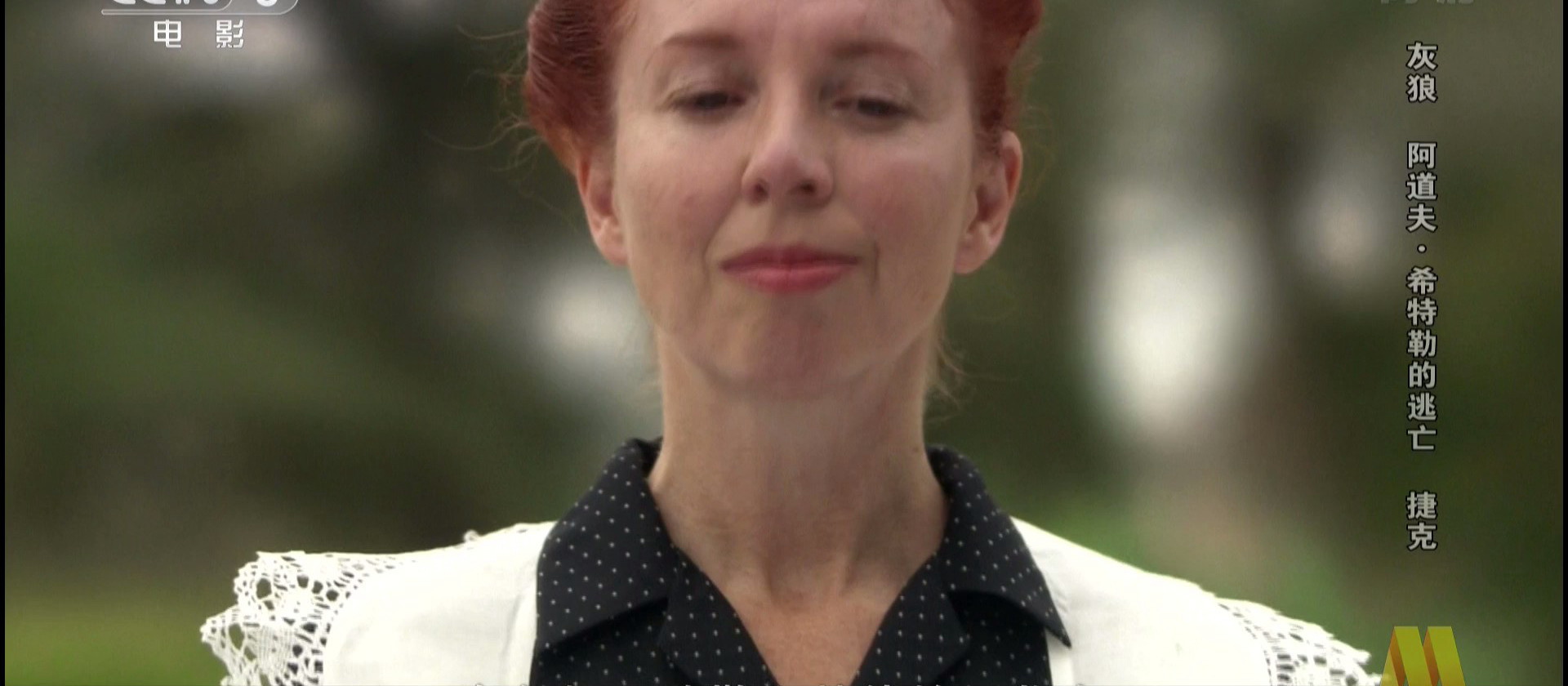 灰狼：阿道夫·希特勒的逃亡剧照的剧照