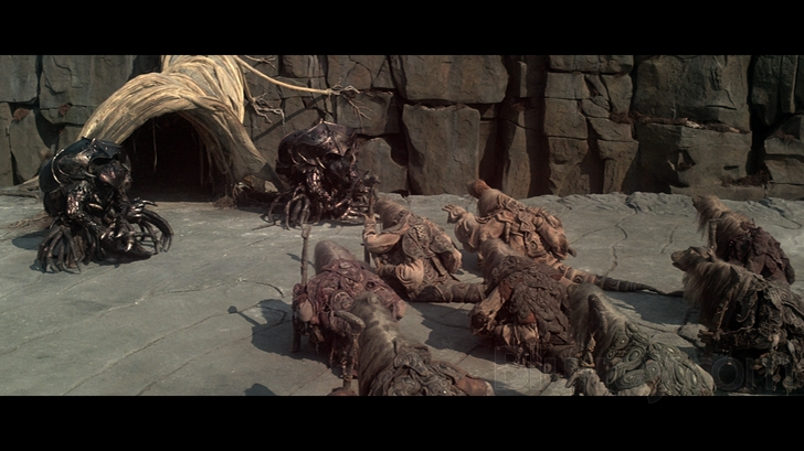 黑水晶剧照的剧照