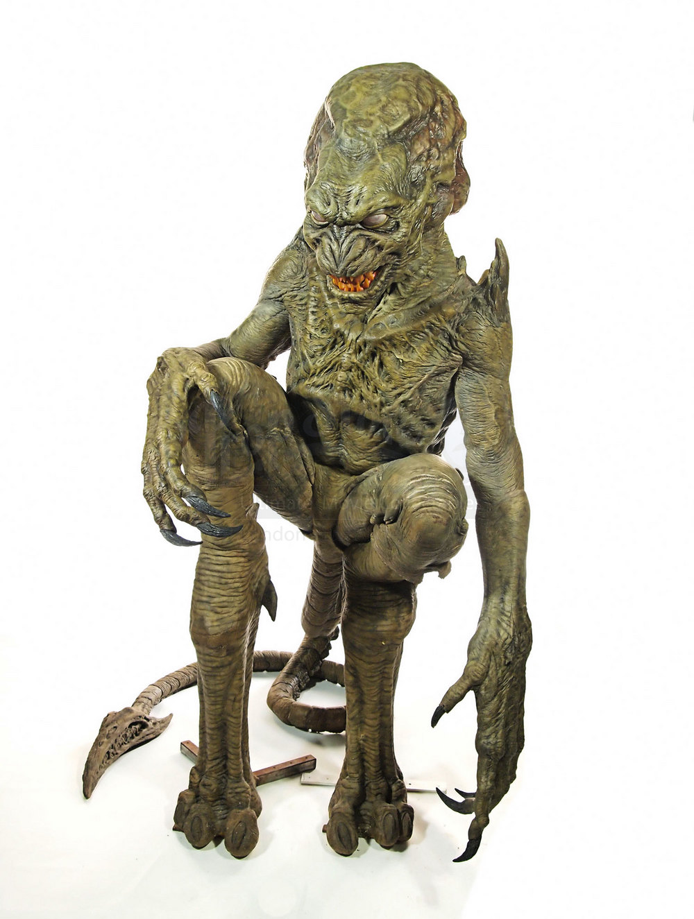 南瓜恶灵3：安息剧照的剧照