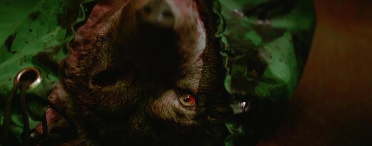 爱之谷剧照的剧照