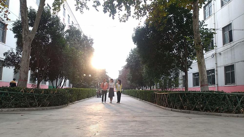 爱情的单程列车剧照的剧照