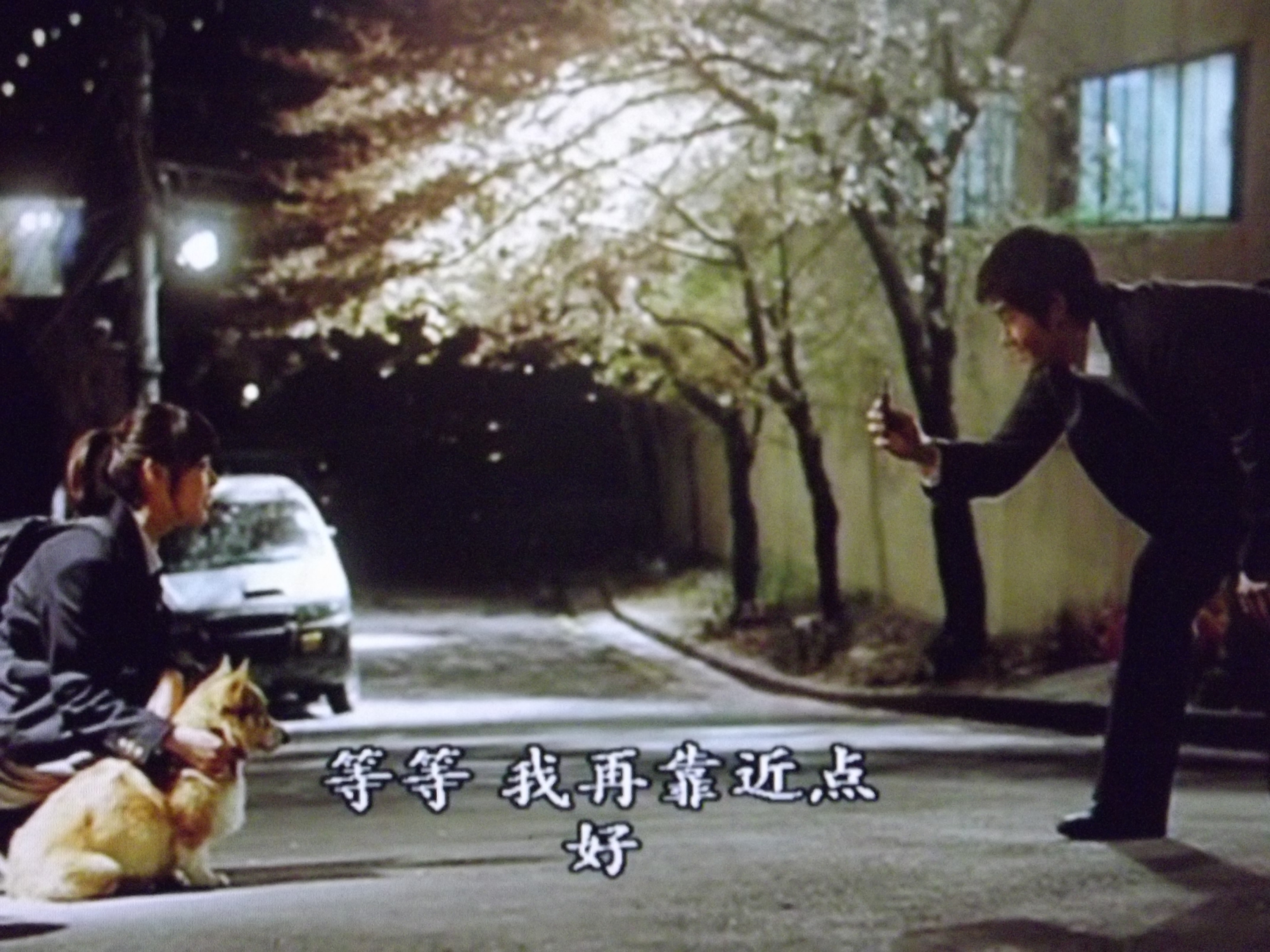 纯情漫画剧照的剧照