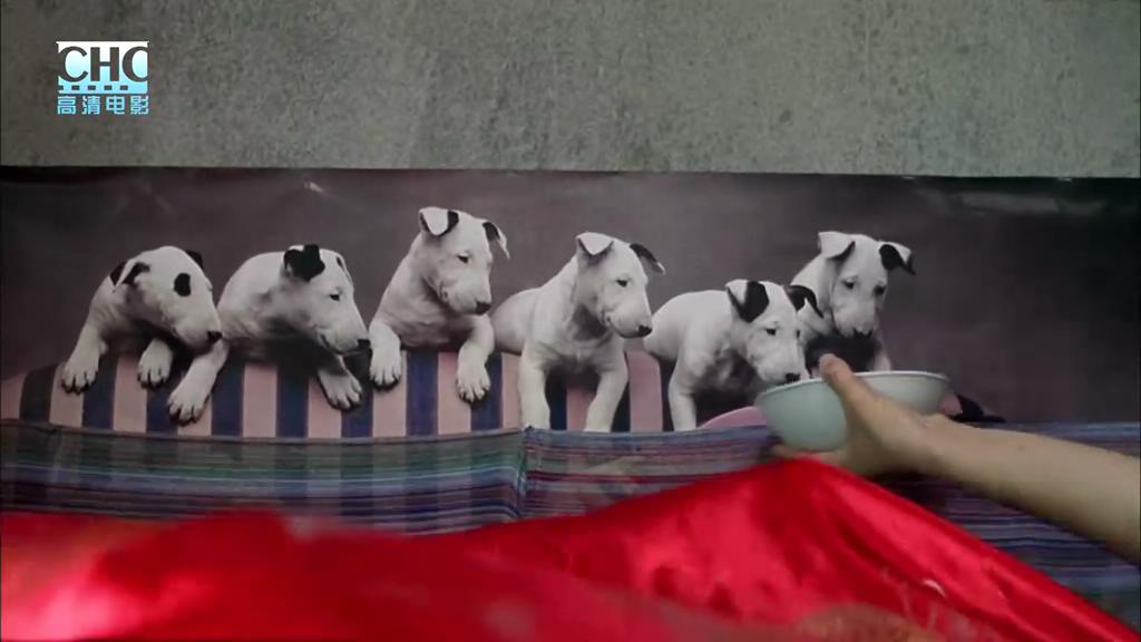 没事偷着乐剧照的剧照