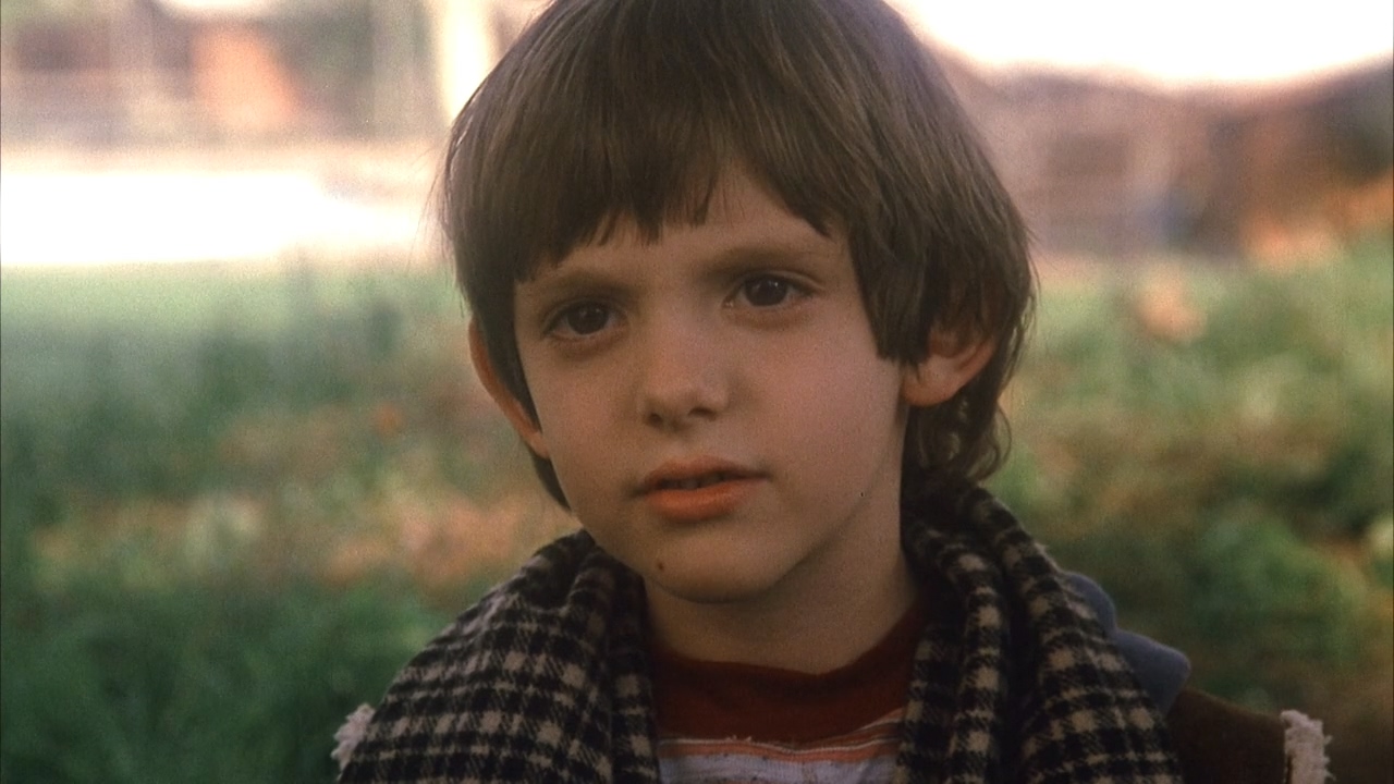 证言剧照的剧照