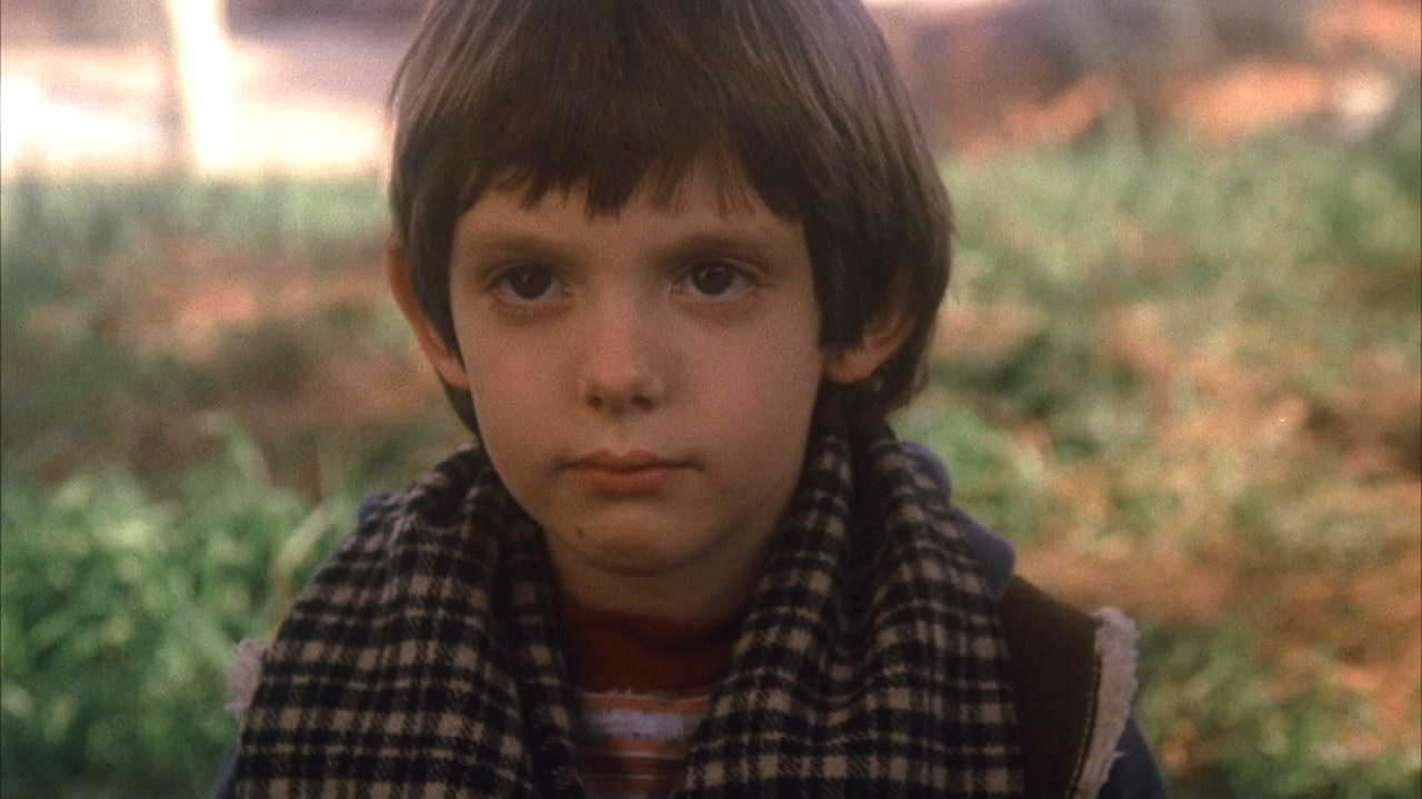 证言剧照的剧照