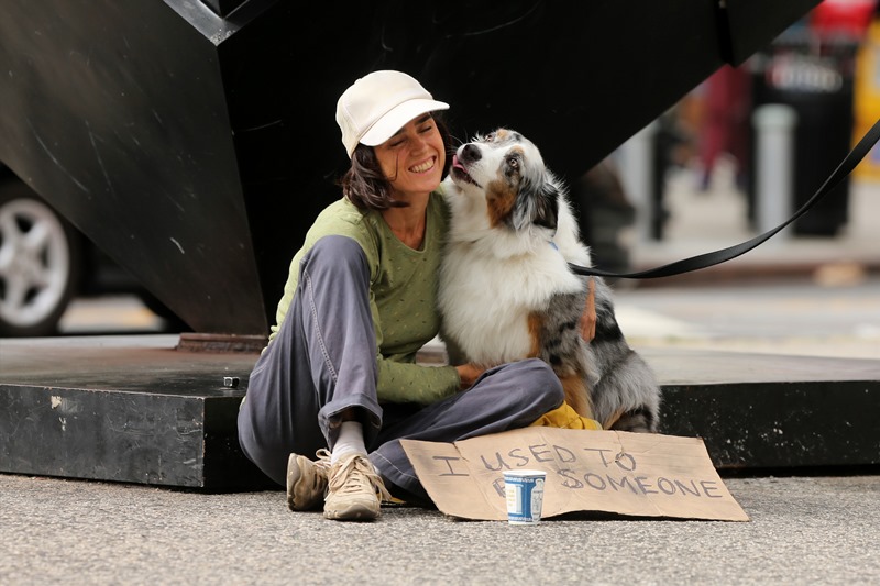 庇护所剧照的剧照