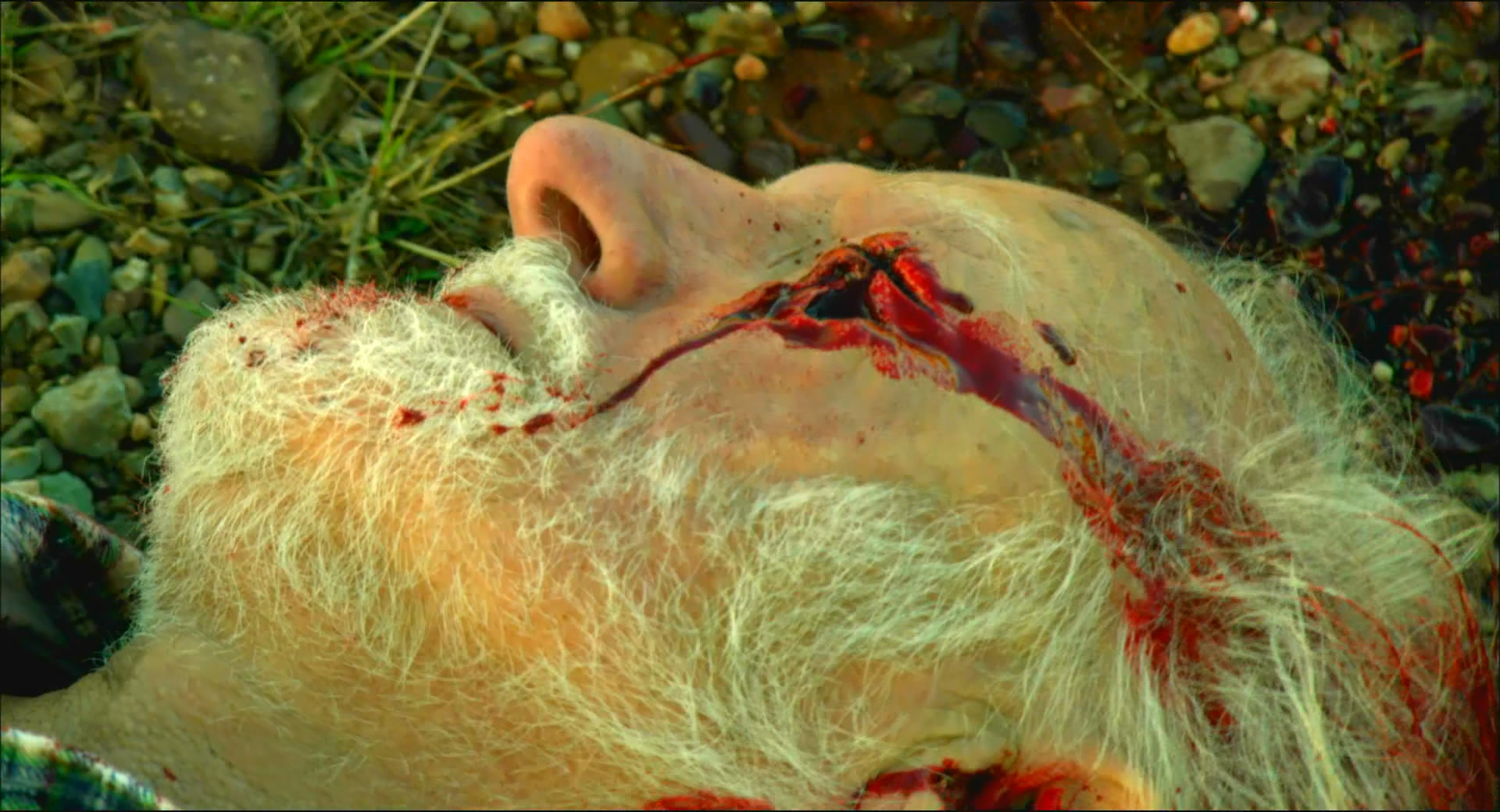 狼溪剧照的剧照