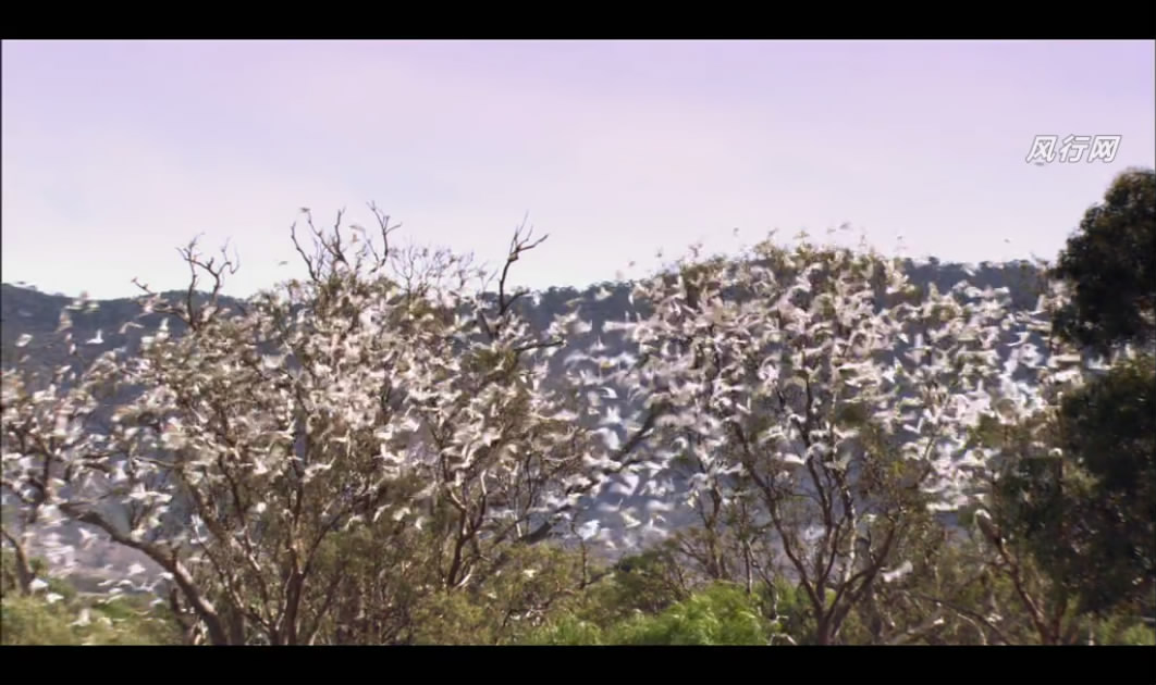 狼溪剧照的剧照