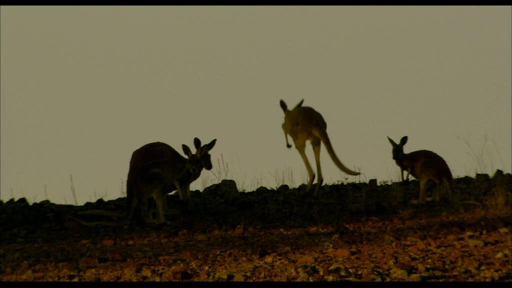 狼溪剧照的剧照