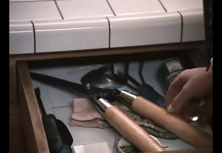 玉米地的孩子们 3剧照的剧照