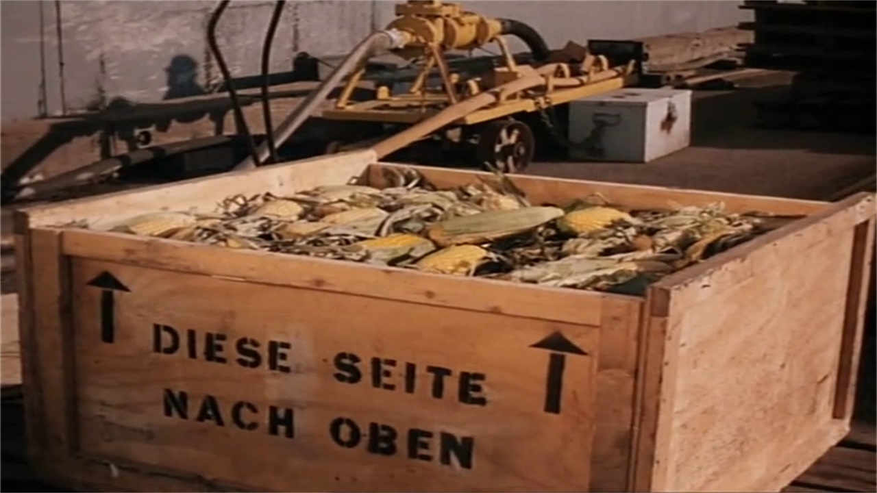 玉米地的孩子们 3剧照的剧照