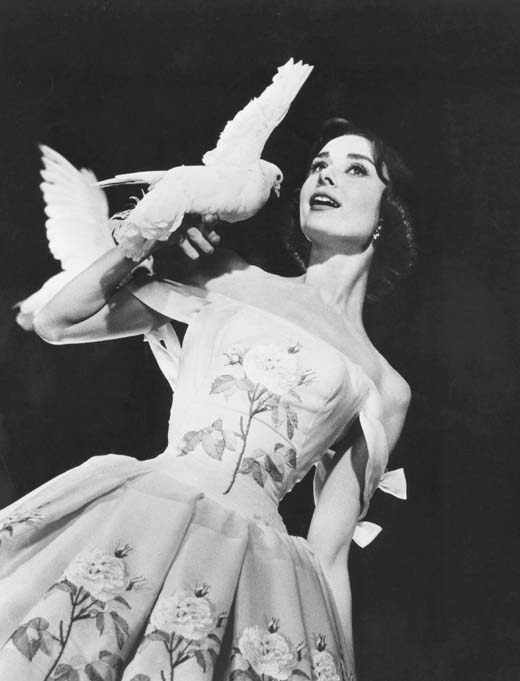 甜姐儿剧照的剧照