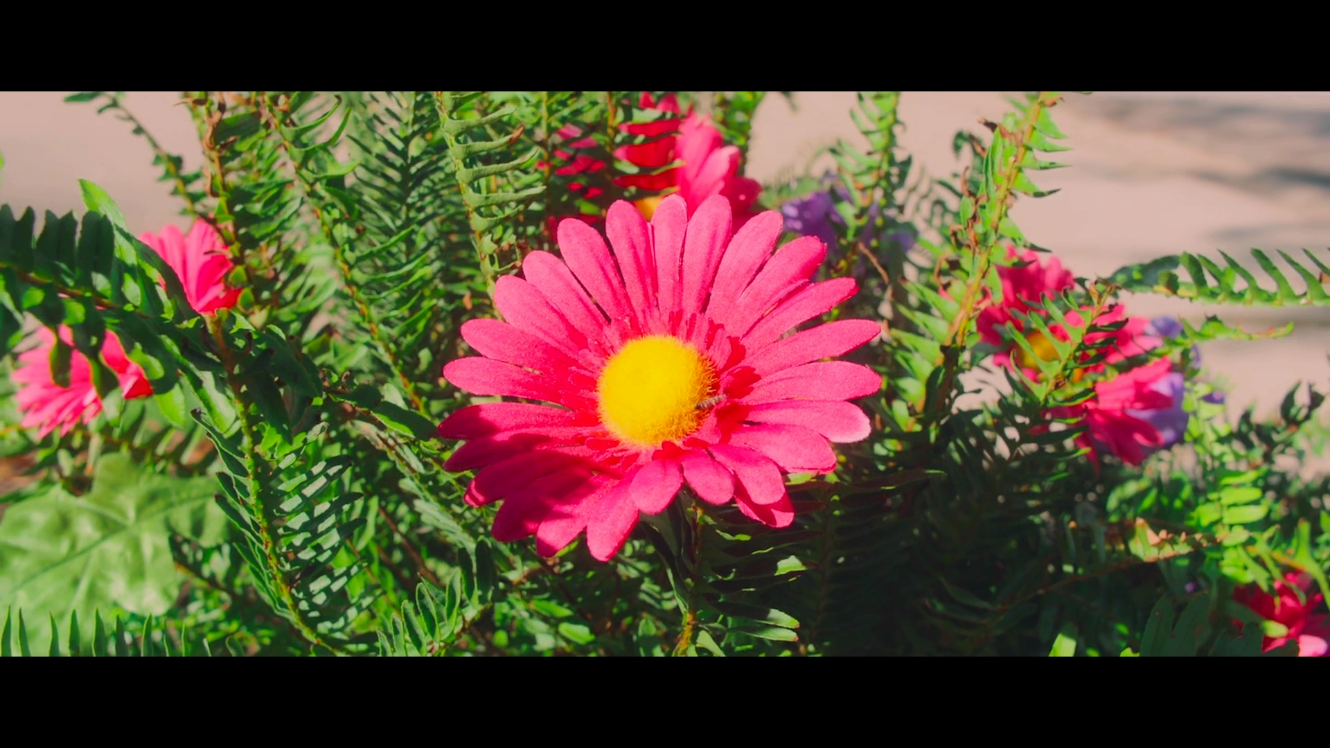 绿茵场外剧照的剧照