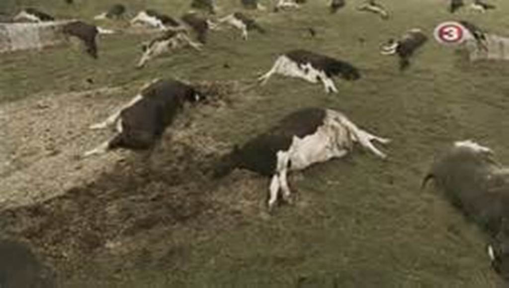 巨变之后：人口为零剧照的剧照