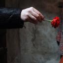 阴谋与爱情剧照