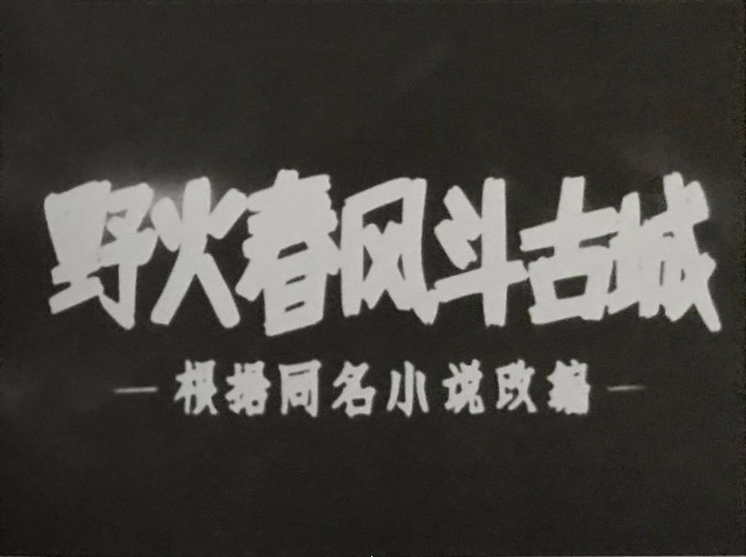 野火春风斗古城剧照的剧照