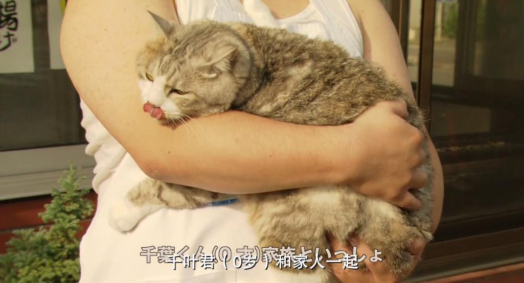 我们与驻在先生的700日战争剧照的剧照