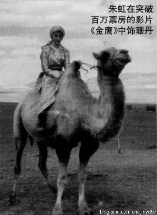 金鹰剧照的剧照