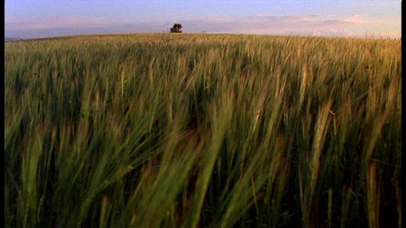 天堂之日剧照的剧照