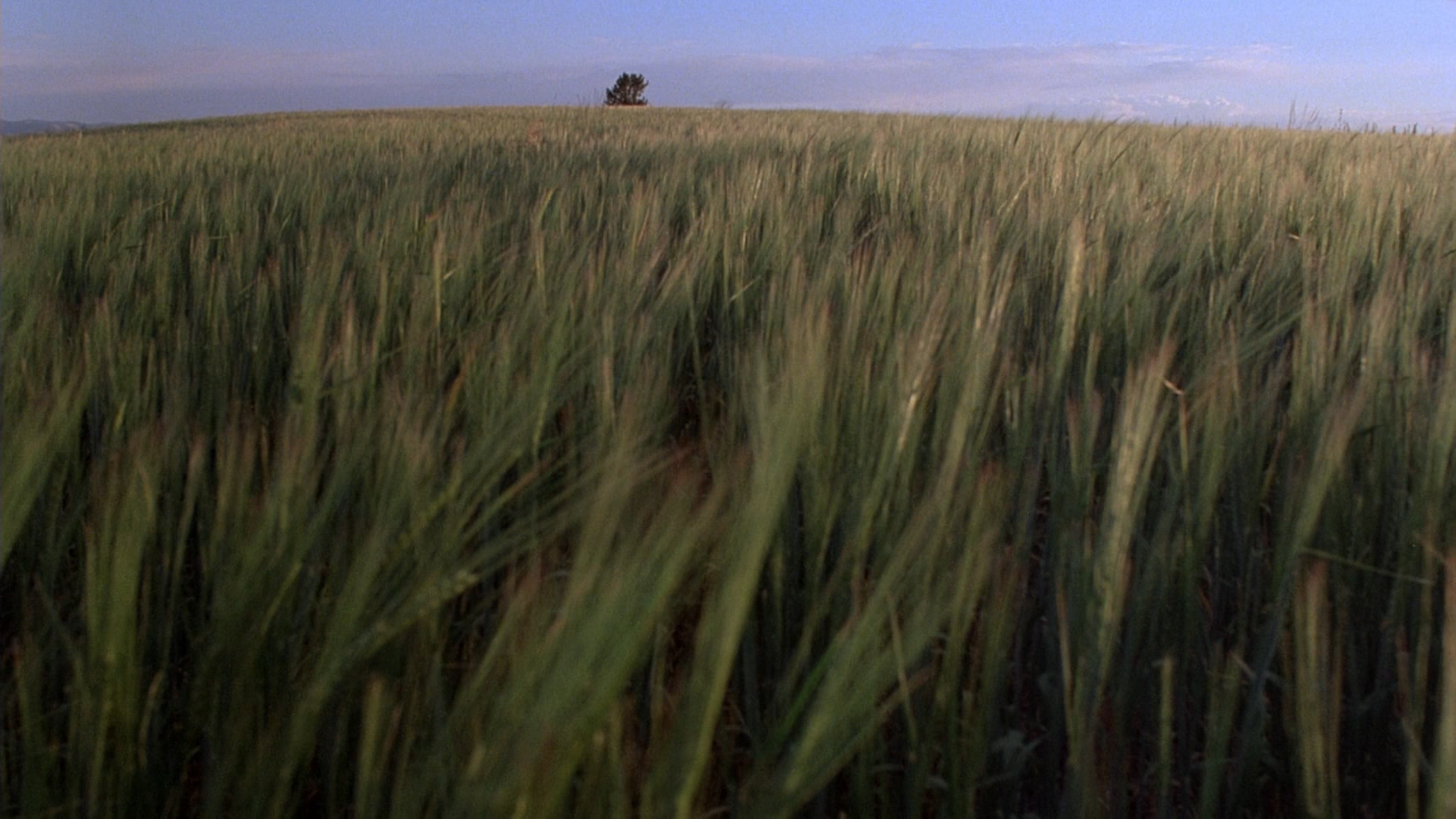 天堂之日剧照的剧照