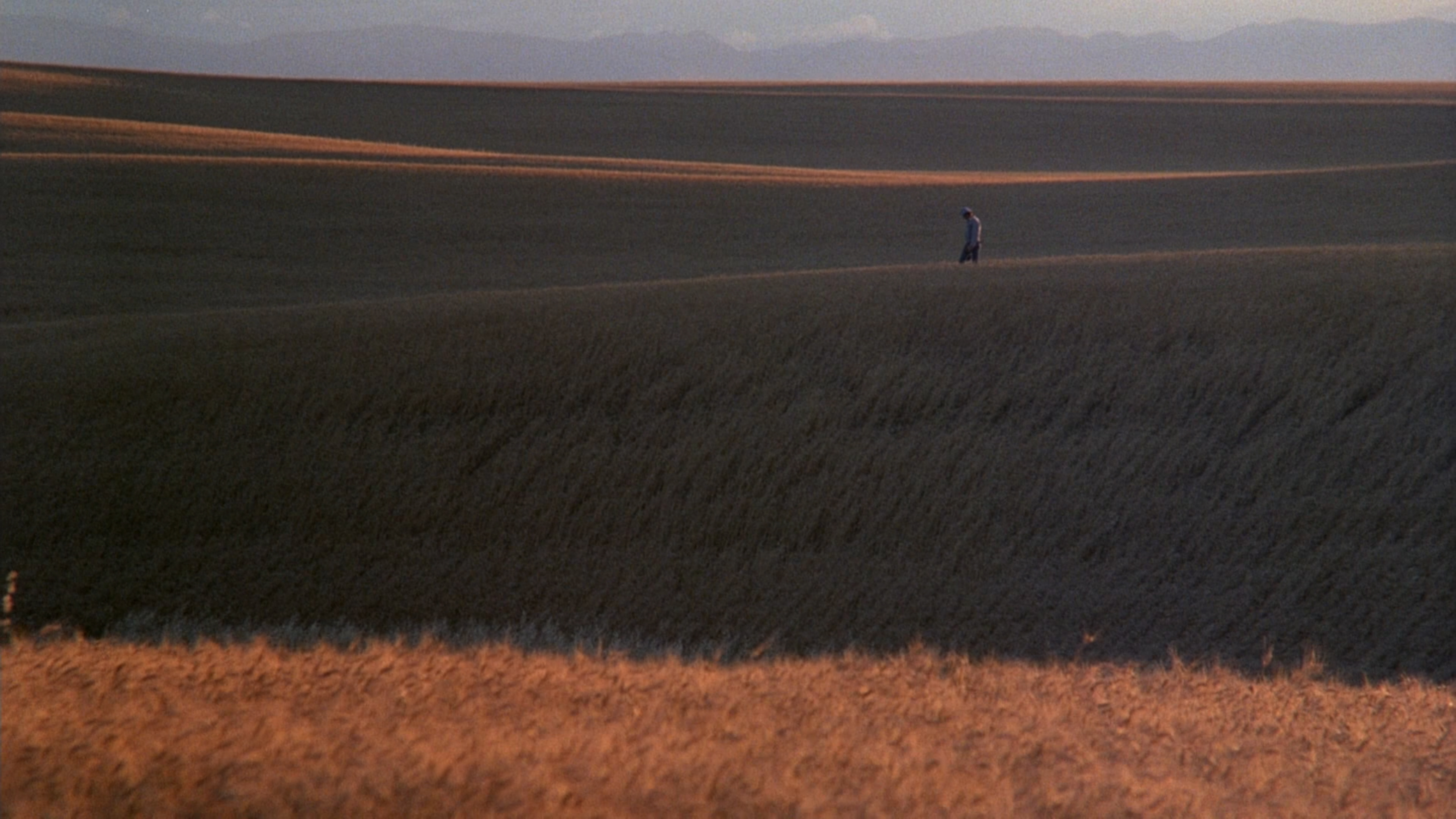 天堂之日剧照的剧照