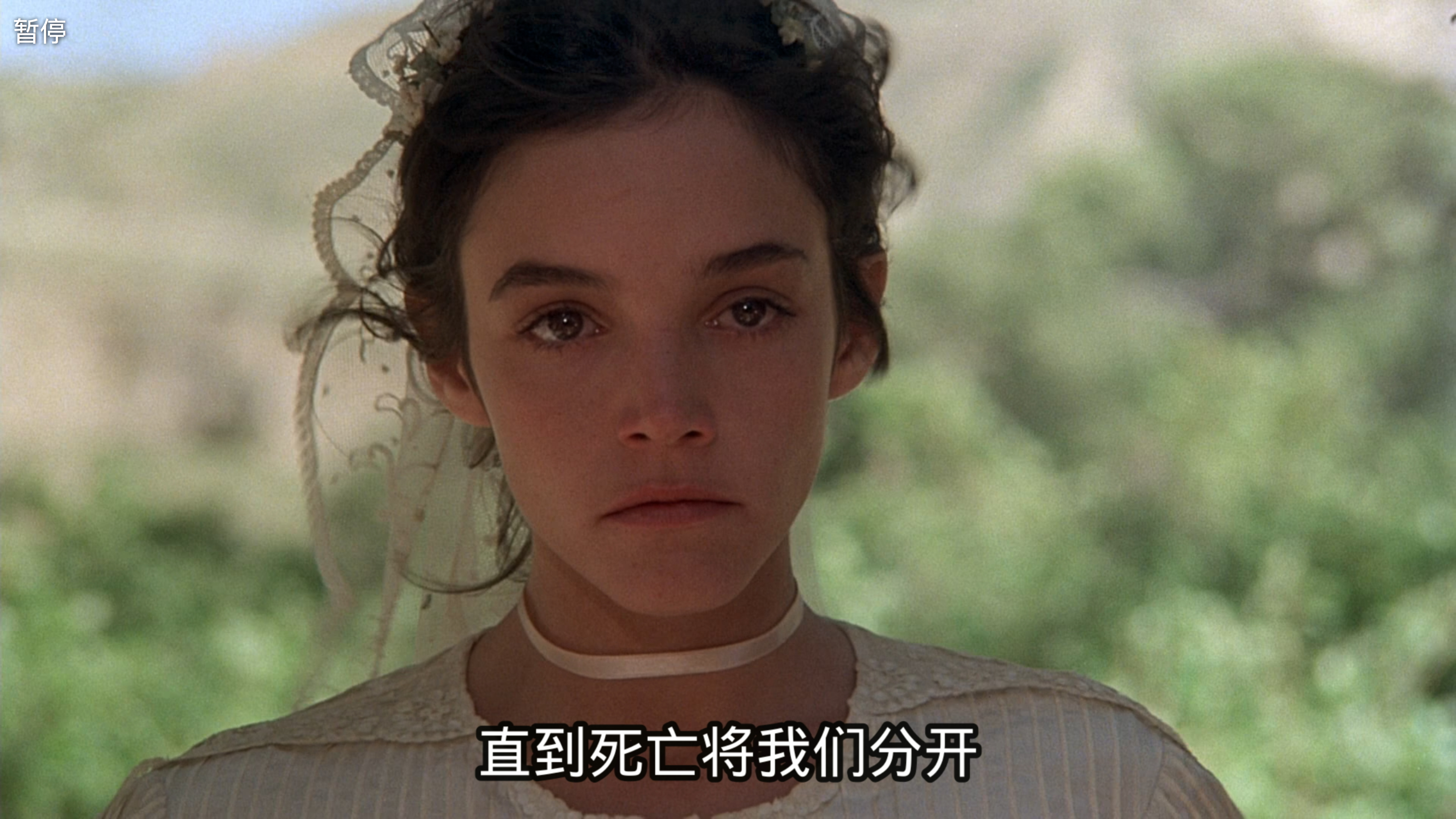 天堂之日剧照的剧照