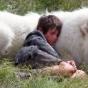 灵犬雪莉：冒险再出发剧照