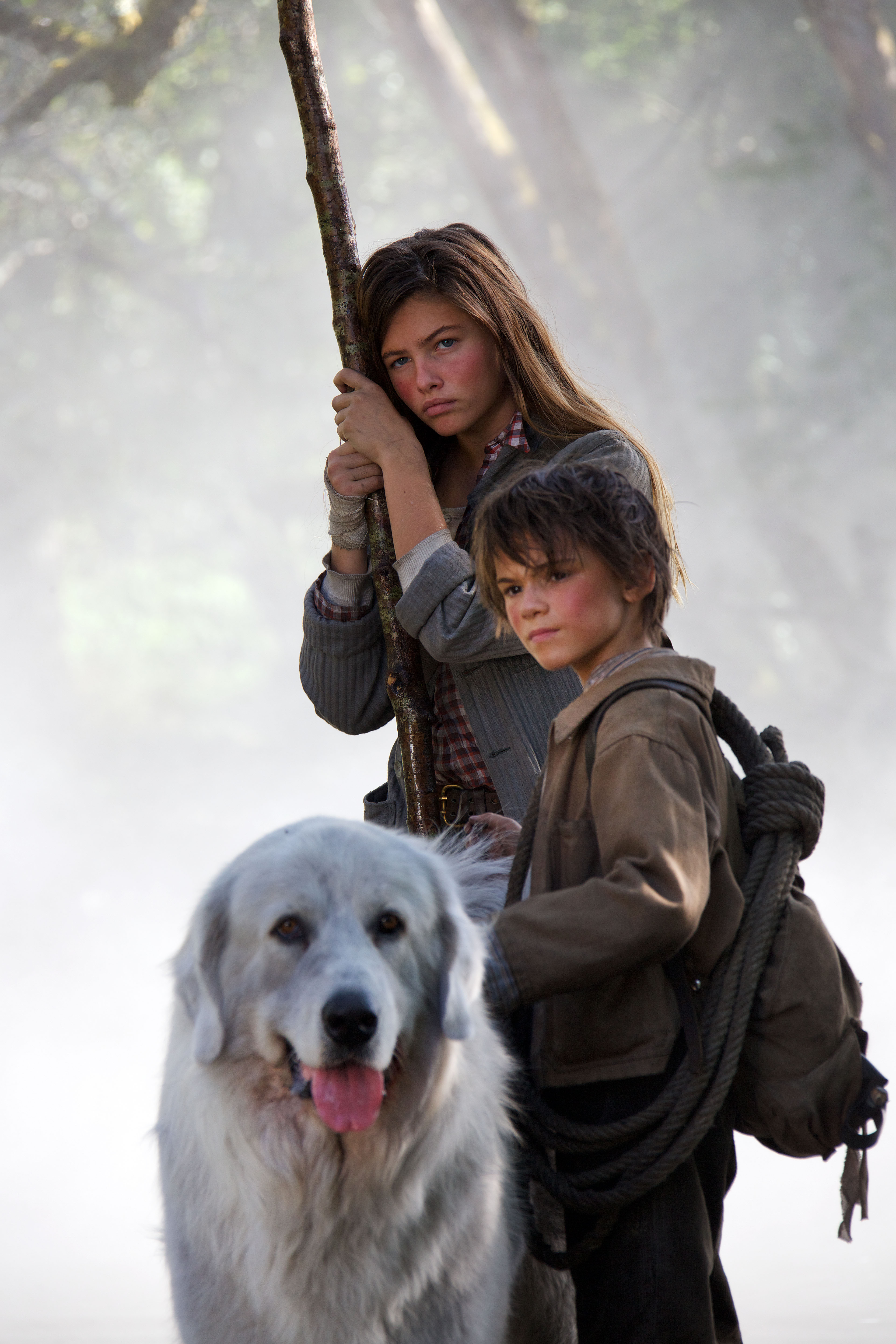 灵犬雪莉：冒险再出发剧照的剧照