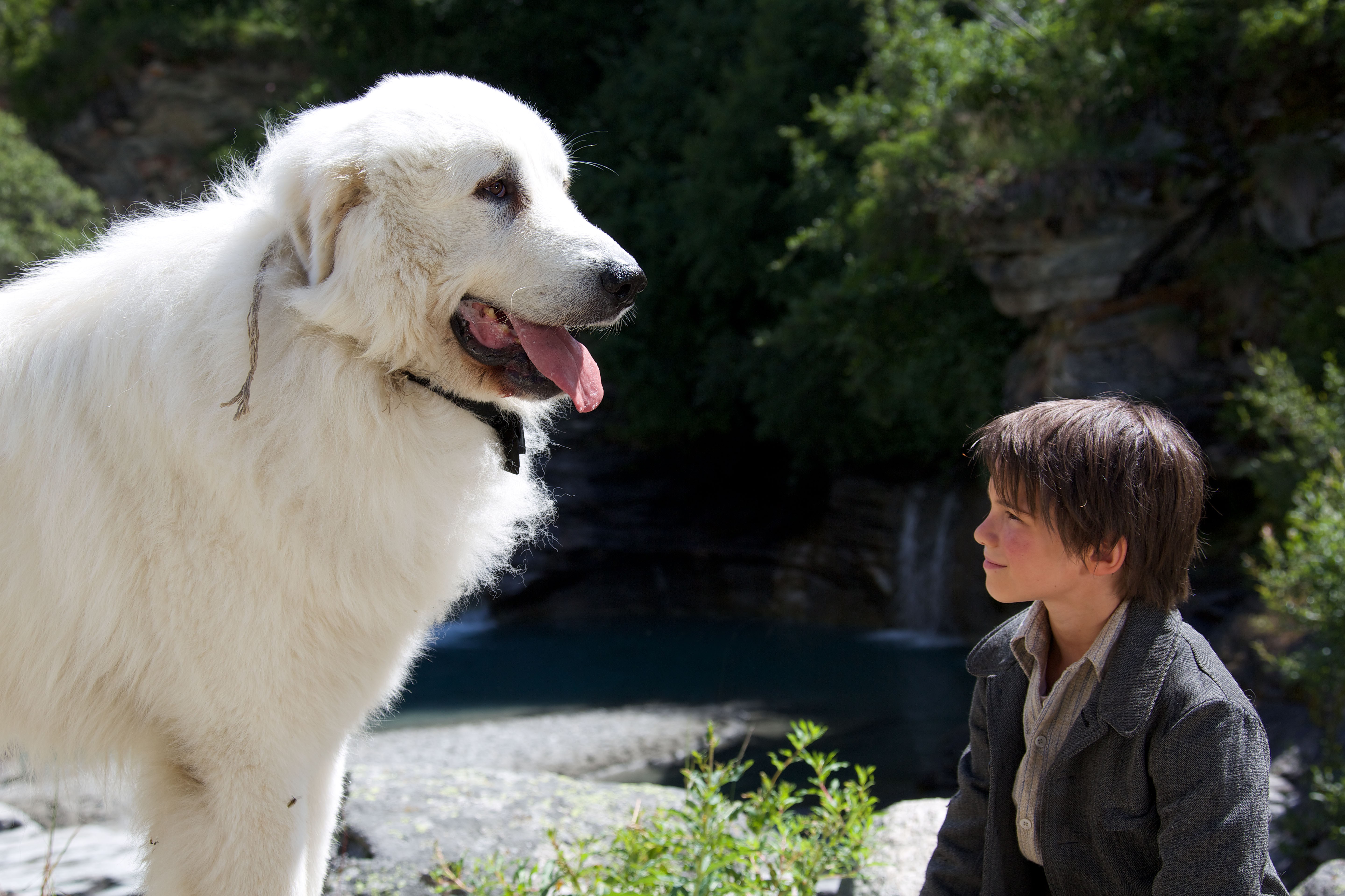 灵犬雪莉：冒险再出发剧照的剧照