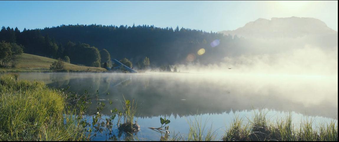 灵犬雪莉：冒险再出发剧照的剧照