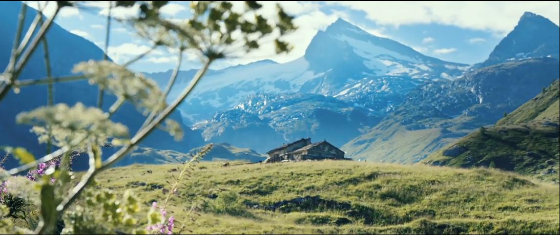 灵犬雪莉：冒险再出发剧照的剧照