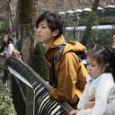 吉祥寺的朝日奈君剧照